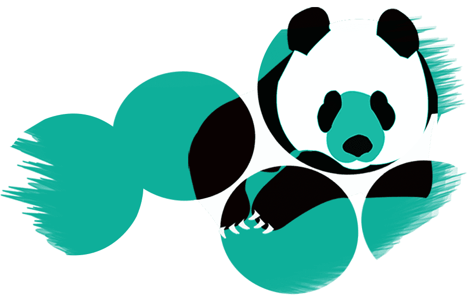 The web Panda image The web Panda image