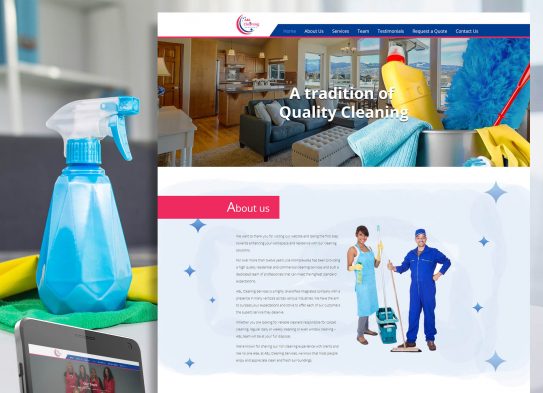 Cleaning Services